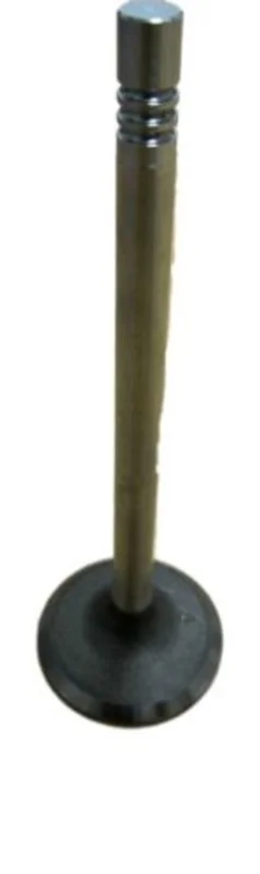 2026_06_02_1288449
